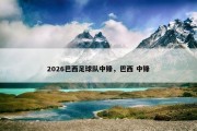 2026巴西足球队中锋，巴西 中锋