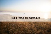 02年几个球队踢（02年足球队主力）