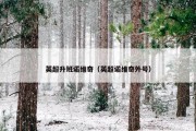 英超升班诺维奇（英超诺维奇外号）