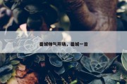 曼城帅气开场，曼城一首