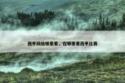 西甲网络哪里看，在哪里看西甲比赛