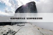 欧洲杯哪里可以买（欧洲杯哪里买球赛）