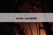 高山滑雪（高山滑雪项目）