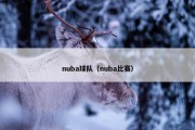 nuba球队（nuba比赛）
