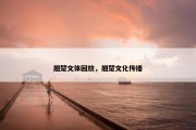 翘楚文体回放，翘楚文化传播