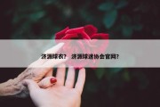 济源球衣？ 济源球迷协会官网？