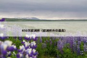 450万欧洲杯（欧洲杯升价最高）