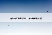 塞尔维亚男模足球队（塞尔维亚模特男）