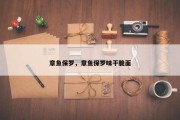 章鱼保罗，章鱼保罗味干脆面