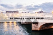 小度足球哪个星球（小度有没有足球比赛）