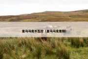 皇马马竞不互控（皇马马竞集锦）