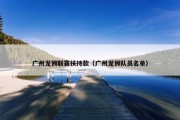 广州龙狮联赛扶持款（广州龙狮队员名单）
