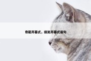 奇葩开幕式，搞笑开幕式语句