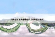街头篮球十大进球选手（街头篮球现状）