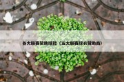 各大联赛赞助球鞋（五大联赛球衣赞助商）