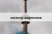 足球队黑白队服（黑白相间的足球队服）
