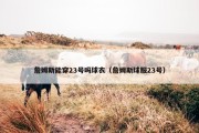 詹姆斯能穿23号吗球衣（詹姆斯球服23号）