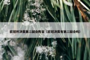 欧冠杯决赛第二回合阵容（欧冠决赛有第二回合吗）