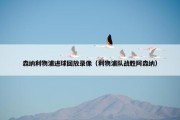 森纳利物浦进球回放录像（利物浦队战胜阿森纳）