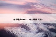 瑞士球员mtea？ 瑞士球员 兵役？