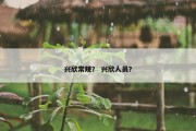 兴欣常规？ 兴欣人员？