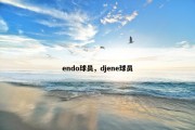 endo球员，djene球员