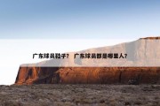广东球员鞋子？ 广东球员都是哪里人？