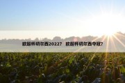 欧超杯切尔西2022？ 欧超杯切尔西夺冠？