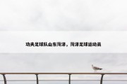 功夫足球队山东菏泽，菏泽足球运动员