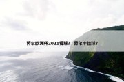 劳尔欧洲杯2021看球？ 劳尔十佳球？