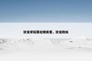 狄龙季后赛犯规库里，狄龙教练