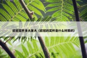 欧冠奖杯多大算大（欧冠的奖杯是什么材质的）