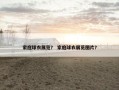 家庭球衣展览？ 家庭球衣展览图片？