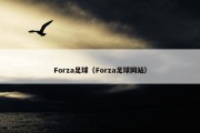 Forza足球（Forza足球网站）