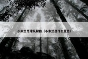 小木兰足球队解散（小木兰是什么意思）