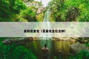 曼联恩里克（恩里克出任主帅）