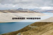 篮球联赛桃园队（桃源居篮球培训）