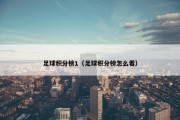 足球积分榜1（足球积分榜怎么看）