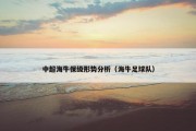 中超海牛保级形势分析（海牛足球队）