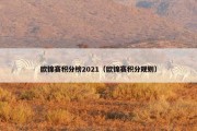 欧锦赛积分榜2021（欧锦赛积分规则）