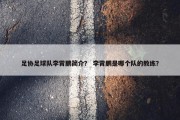 足协足球队李霄鹏简介？ 李霄鹏是哪个队的教练？