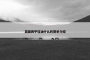英国西甲硅油什么的简单介绍