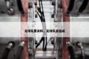 足球队里资料，足球队员组成