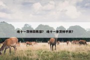 魂十一茨林弈阵容？ 魂十一单茨林平民？