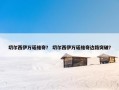 切尔西伊万诺维奇？ 切尔西伊万诺维奇边路突破？
