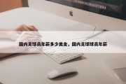 国内足球员年薪多少美金，国内足球球员年薪
