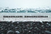芜湖业余足球名流足球队（芜湖业余足球名流足球队名单）