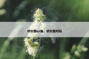 切尔西vs迪，切尔西对标