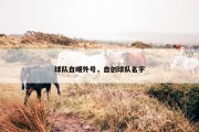 球队自嘲外号，自创球队名字