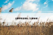 三郎学校足球队（三郎体育）